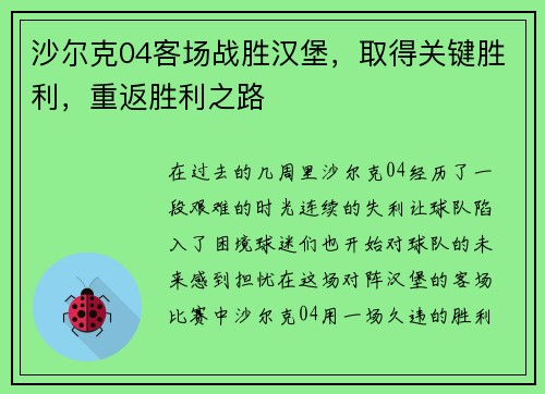 沙尔克04客场战胜汉堡，取得关键胜利，重返胜利之路