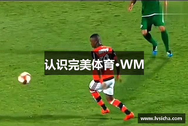 认识完美体育·WM